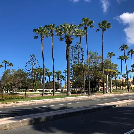 Vistas Panoramicas *